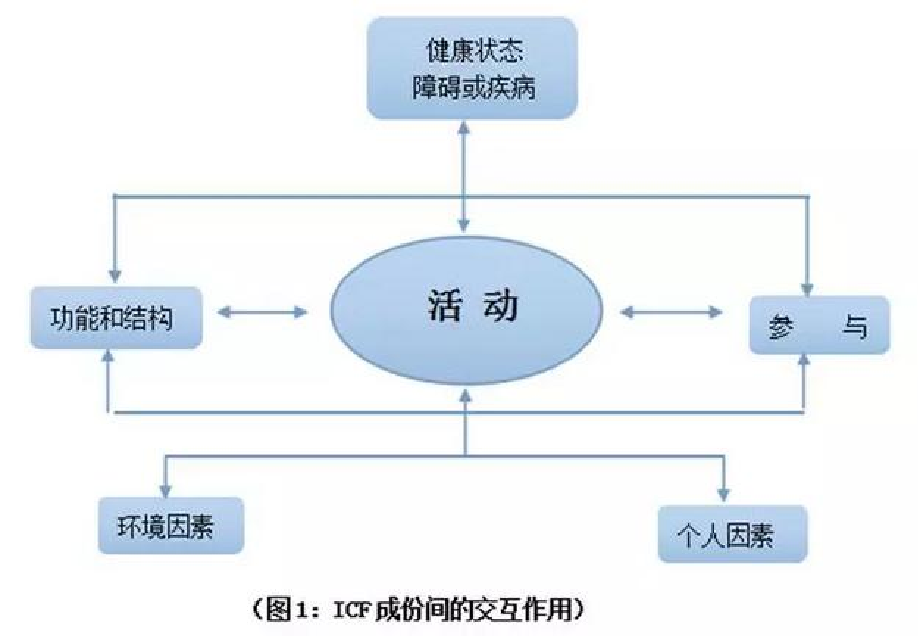 ICF 成分间的交互作用原图
