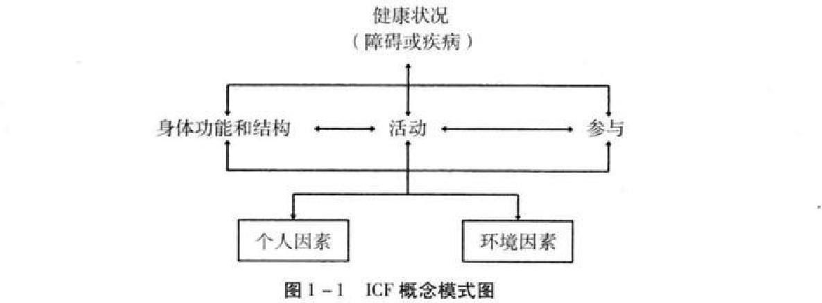 ICF 概念模式图原图