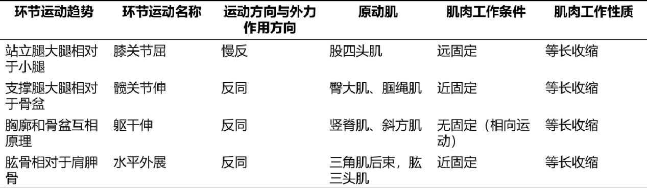 燕式平衡动作分析表原图