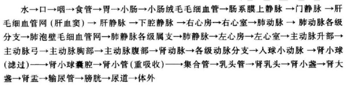 水溶性代谢产物排出途径原图
